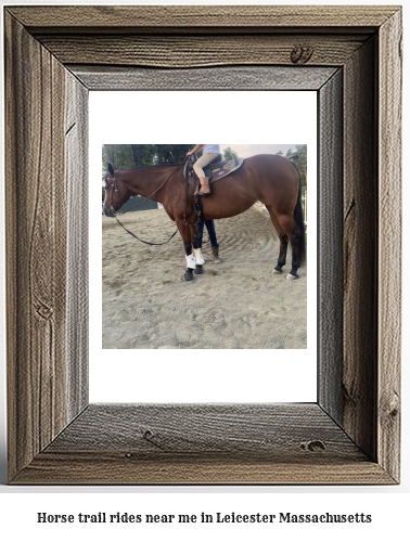 horse trail rides near me in Leicester, Massachusetts